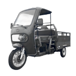 Metal Cabin without Doors for Cargo Tricycle TRCC1500