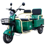 Electric Passenger Tricycle with Double Bench Bendis TRCC1200 EvoTools®