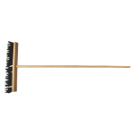 Broom with Handle P